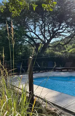 a swimming pool with a tree and a bench at Cabañas Los Horneros in Santa Rosa de Calamuchita