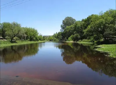 a river with trees on the side of it at Mauro y Sonia in Estancia Vieja