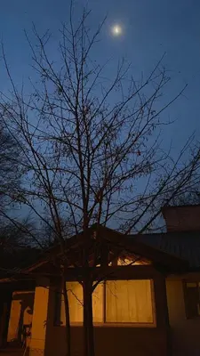 a tree in front of a house with the moon at Piedras Moras in Villa General Belgrano