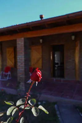 a red rose sitting in front of a house at Casa de campo in Los Hornillos