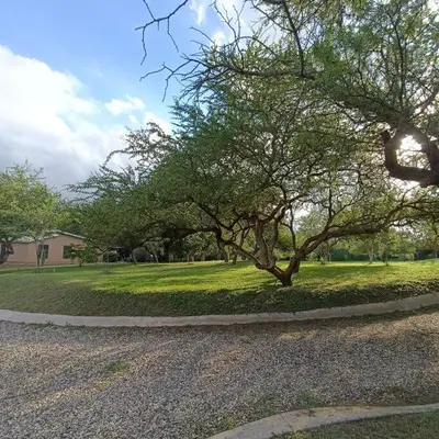 a tree in the middle of a grass field at Excepcional Casa de campo in Villa Anizacate