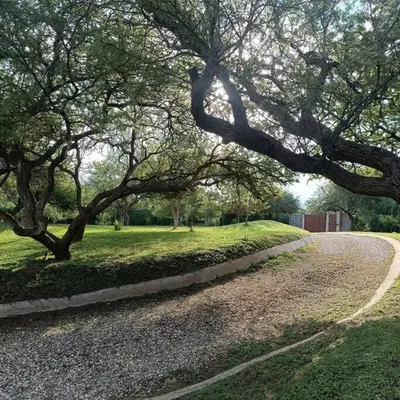 a tree hanging over a road in a park at Excepcional Casa de campo in Villa Anizacate