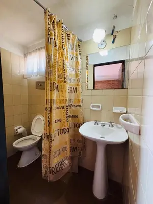 a bathroom with a sink and a toilet and a shower curtain at Departamentos Pasini in Villa Carlos Paz