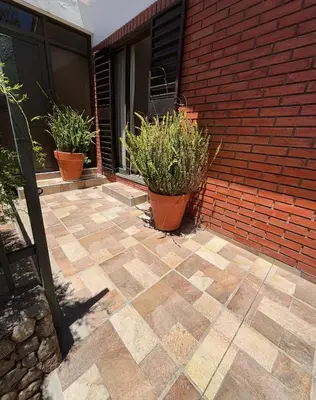 a patio with two potted plants on the side of a building at Departamentos Pasini in Villa Carlos Paz
