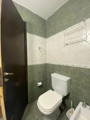 a bathroom with a toilet and a sink at Julia Apparts - DEPARTAMENTO EN EL CENTRO DE LA CIUDAD in Cordoba