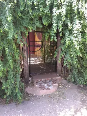 an open gate in a garden with trees at Casita en Los Hornillos in Los Hornillos