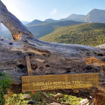 a fallen tree with a sign on top of a mountain at Casita en Los Hornillos in Los Hornillos