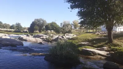 a stream of water with rocks and a tree at Complejo soñado in Mina Clavero