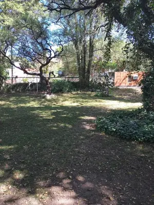 a yard with trees and grass and a fence at Casa en Villa Los Aromos cerca del río in Villa Los Aromos
