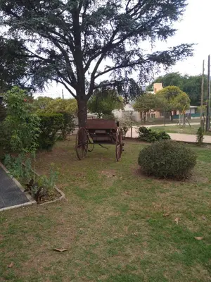 a bench sitting under a tree in a park at Bialet Masse hermosa casa con pileta in Cordoba