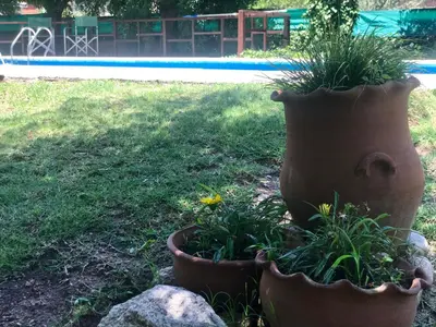 two large pots with plants in them in a yard at Hotel Complejo Najul Suites-Solo Adultos in Mina Clavero