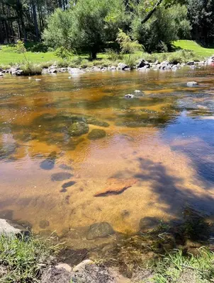 a river with a bunch of rocks in the water at Casa Reartes in Los Reartes