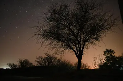 a tree in a field under a night sky at Púrpura Atardecer Hermosa casa de montaña in San Javier