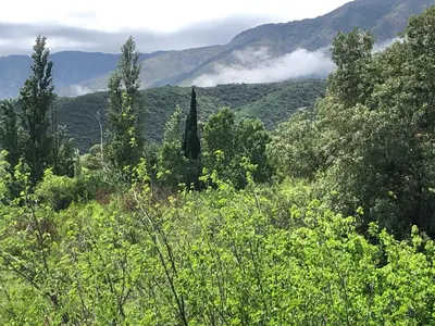 a view of a forest with mountains in the background at Púrpura Atardecer Hermosa casa de montaña in San Javier