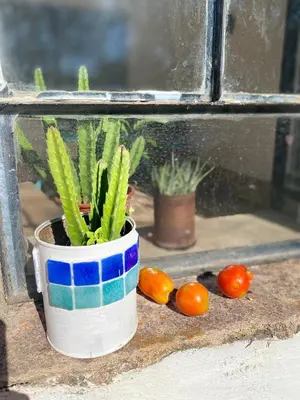 a potted plant sitting on a window sill with tomatoes at La casita azul, Tanti in Tanti