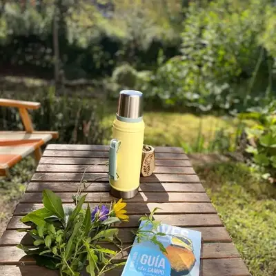 La casita azul