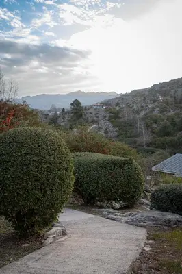 a pair of bushes in front of a walkway at Cabañas Rio Manso in La Cumbrecita