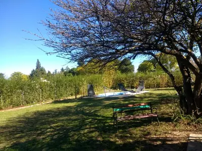 a park bench under a tree in a field at Casa en Villa Amancay, Calamuchita in Villa Amancay