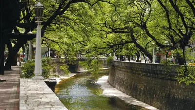 a river in a park with trees and a street light at Dptos Córdoba -Guemes, Sobre la Cañada, vista al Paseo de Artesanos in Cordoba