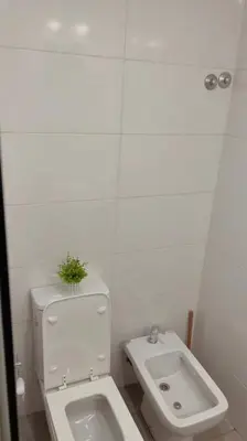 a bathroom with a toilet with a plant on the top of it at Atp Bolivia 164 in Cordoba