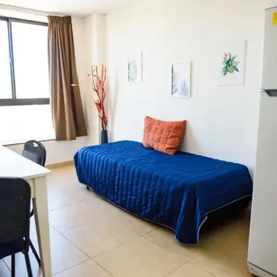 Dpto 1 habitación con cochera