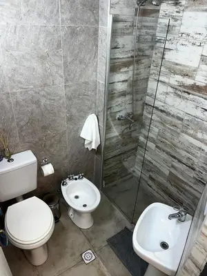 a bathroom with a toilet and a shower and a sink at TREJO APART, A 40MTS DEL PATIO OLMOS, PLANTA BAJA in Cordoba