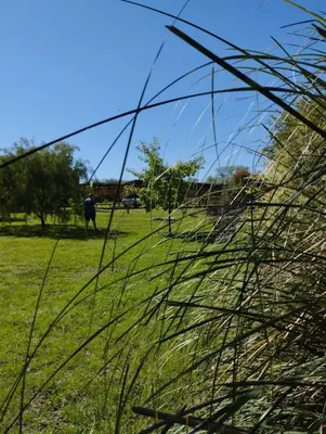 a field of grass with a cow in the background at Paraíso Serrano 19 in Los Reartes