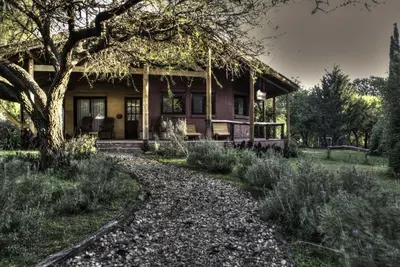a house with a tree in front of it at Magenta Complejo Cabañas & Spa in San Javier