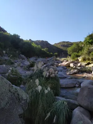 a river with rocks and grass in the middle at Suites de Montaña Despertar del Gallo in Villa Cura Brochero