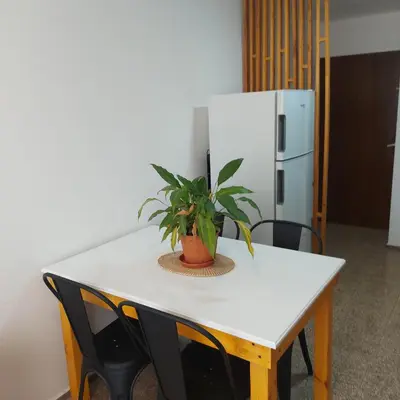 a table with a potted plant on it with a refrigerator at Microcentro de la Docta in Cordoba