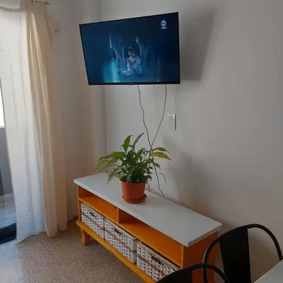 a tv on a wall with a plant on a table at Microcentro de la Docta in Cordoba