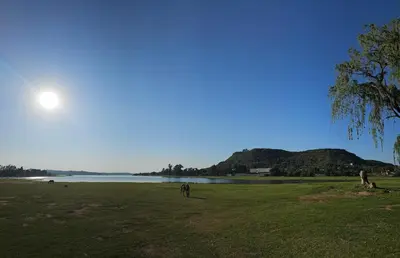 a group of animals grazing in a field next to a lake at El paraiso in Villa del Dique