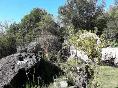 a garden with rocks and plants and trees at Casa nacha in Cuesta Blanca