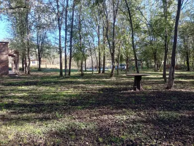 a picnic table in the middle of a park with trees at Los 3 soles in Villa Ciudad Parque