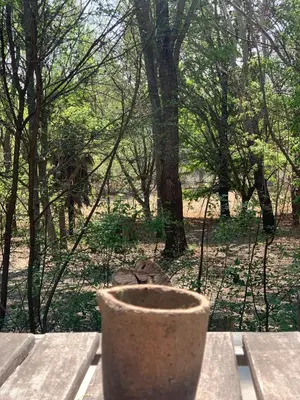 a vase sitting on top of a picnic table at Cabaña del Bosque in Las Calles