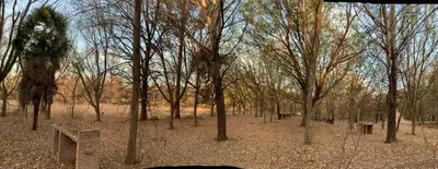 a forest of trees with a bench in the middle at Cabaña del Bosque in Las Calles