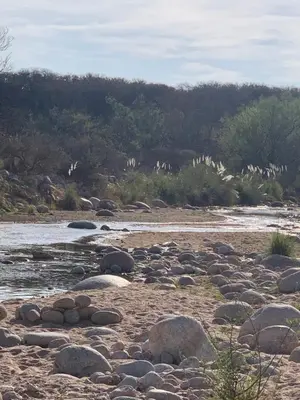 a group of rocks on the shore of a river at Cabaña del Bosque in Las Calles