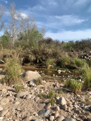 a creek in a field with rocks and trees at Cabaña del Bosque in Las Calles