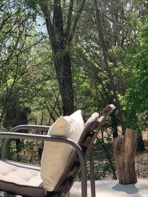 a chair sitting on a porch in front of trees at Cabaña del Bosque in Las Calles