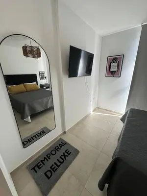 a bedroom with a mirror and a bed and a tv at Depto a 3 cuadras de Patio Olmos in Cordoba