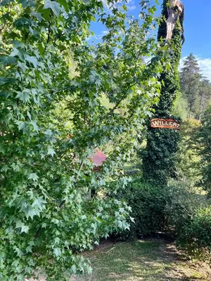 a ivy covered tree with a sign on it at Willert Cabañas Cumbrecita in La Cumbrecita