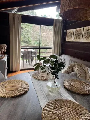 a table with rattan plates and a plant on it at Willert Cabañas Cumbrecita in La Cumbrecita