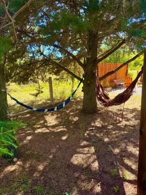 a hammock hanging from a tree in a yard at Alma de Lago in Villa Rumipal