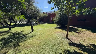 two trees in a yard next to a building at Luz del Rincón in Merlo