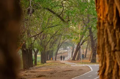 a tree lined road with two people walking down it at Hermoso departamento a estrenar 3 in Alta Gracia