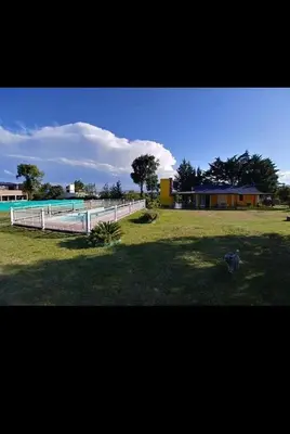 a dog standing in a field near a swimming pool at Cabaña Alma Serrana in Bialet Massé