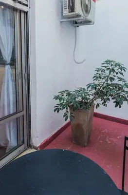 a potted plant sitting on a floor next to a window at Trejo 351 in Cordoba