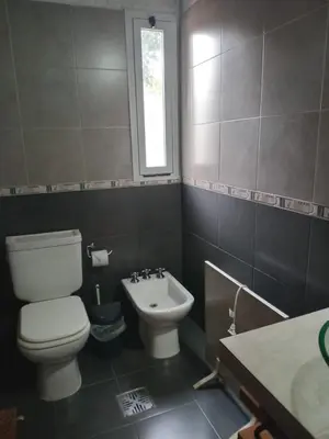 a bathroom with a toilet and a sink at Duplex del Bosque - Solo Parejas in Mina Clavero