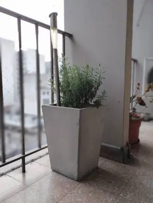 a potted plant sitting on a window sill at Spacious bright apartment with garage in Cordoba in Cordoba