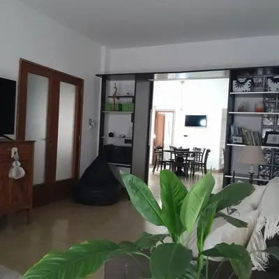 a living room with a plant in the middle of it at Spacious bright apartment with garage in Cordoba in Cordoba